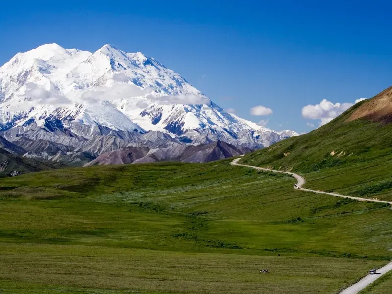 What To Do In Denali National Park And Preserve