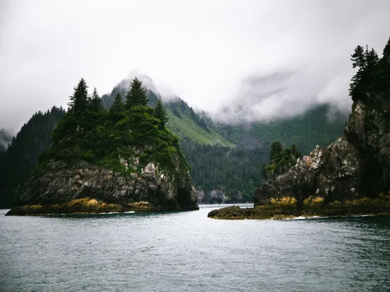 All About Kenai Fjords National Park