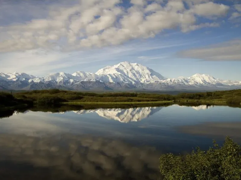 All About Denali National Park