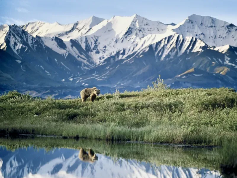 Alaska's PFD: Turning Natural Wealth into Shared Prosperity