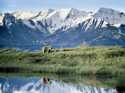 Choosing the Perfect Alaskan Jewelry Gift: A Holiday Shopping Guide