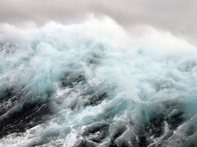 Whispers of the West: The Profound Impact of Chinook Winds on Society and Environment