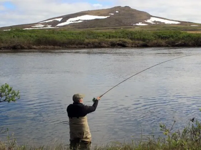 Fishing In Alaska: An Introduction To Alaskan Halibut & Salmon