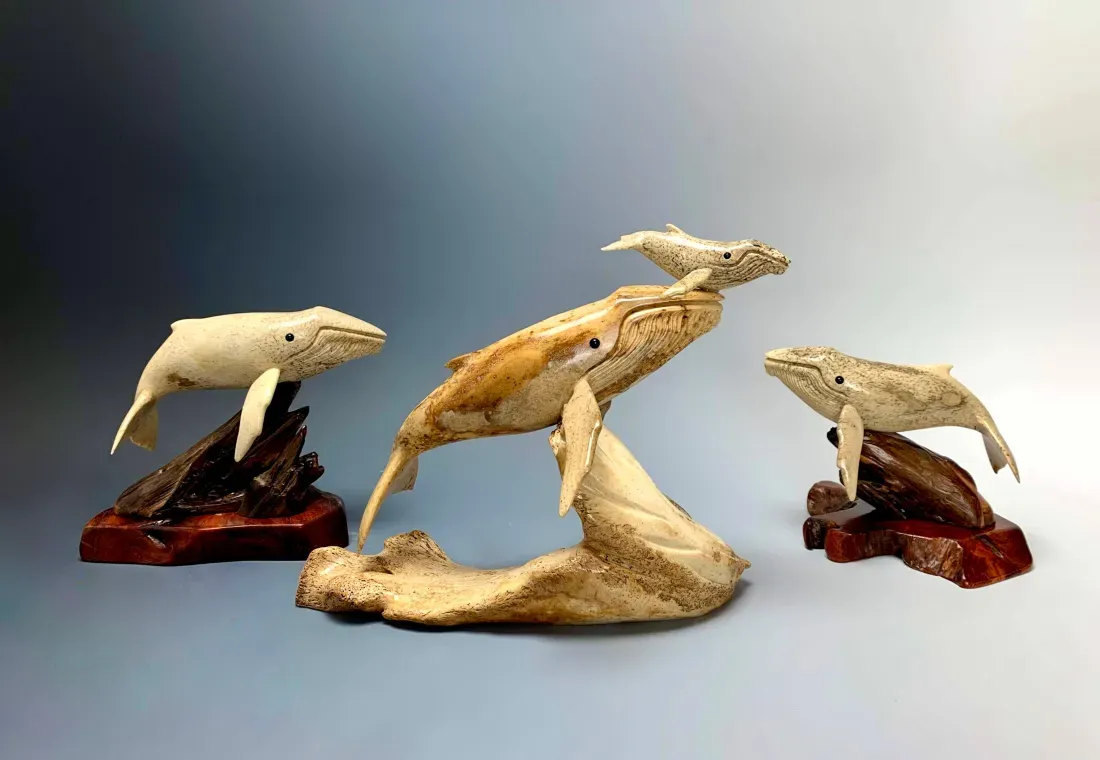 Fossil & Stone
