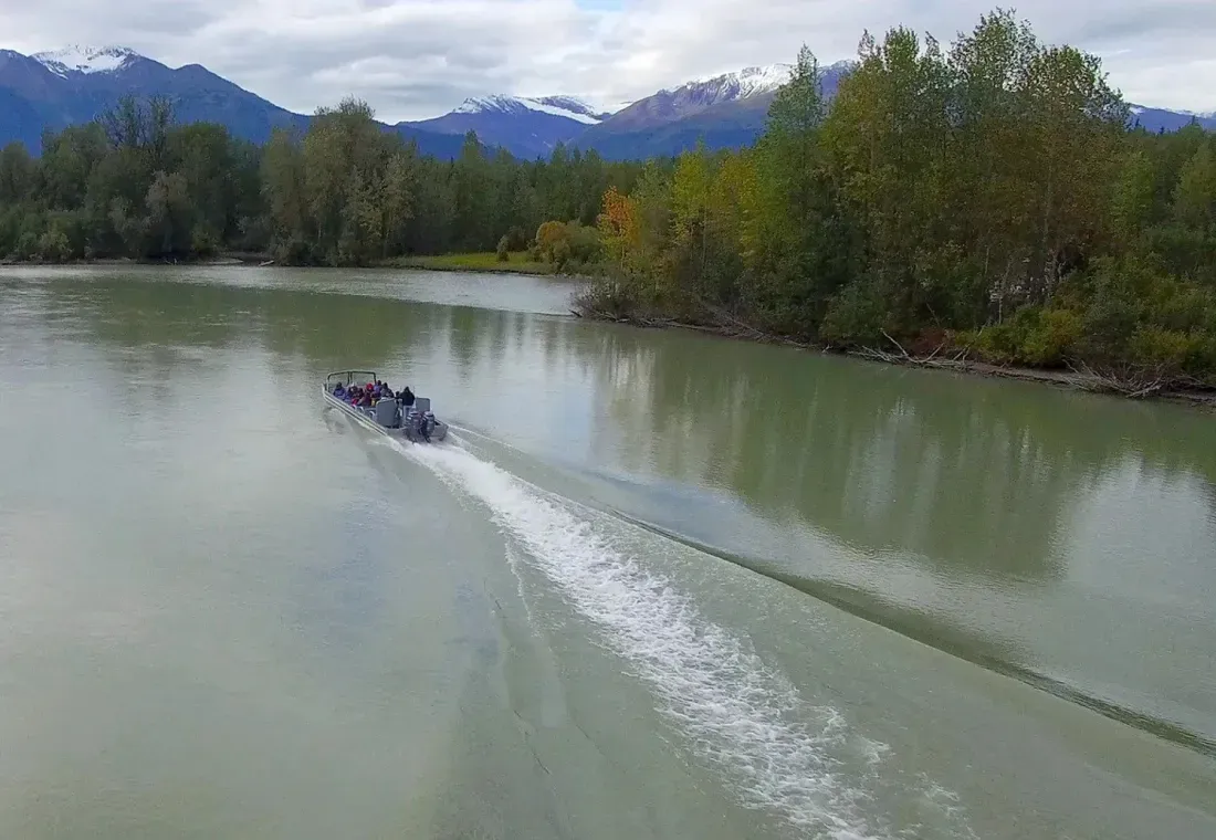 Chilkat River Adventures