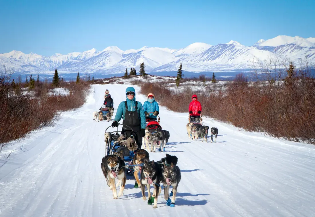 Squid Acres Kennel Dogsled Tours