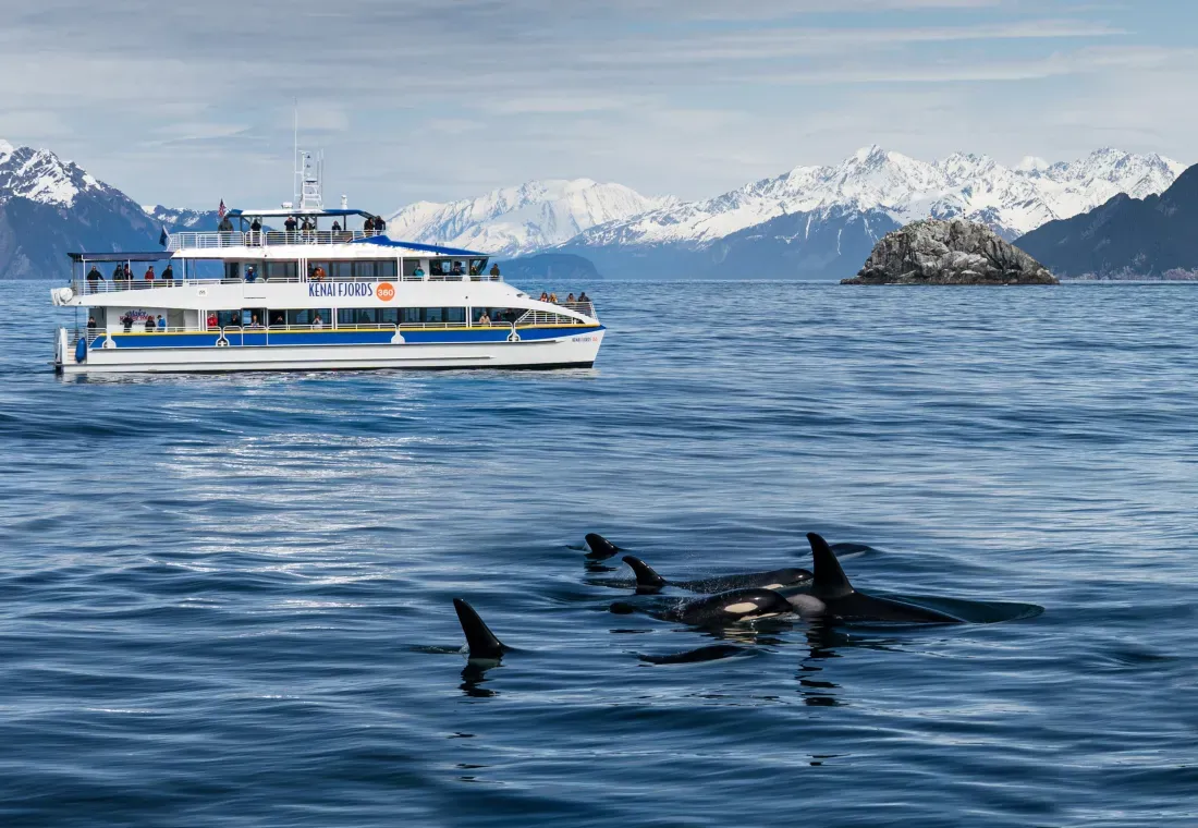 Major Marine Tours