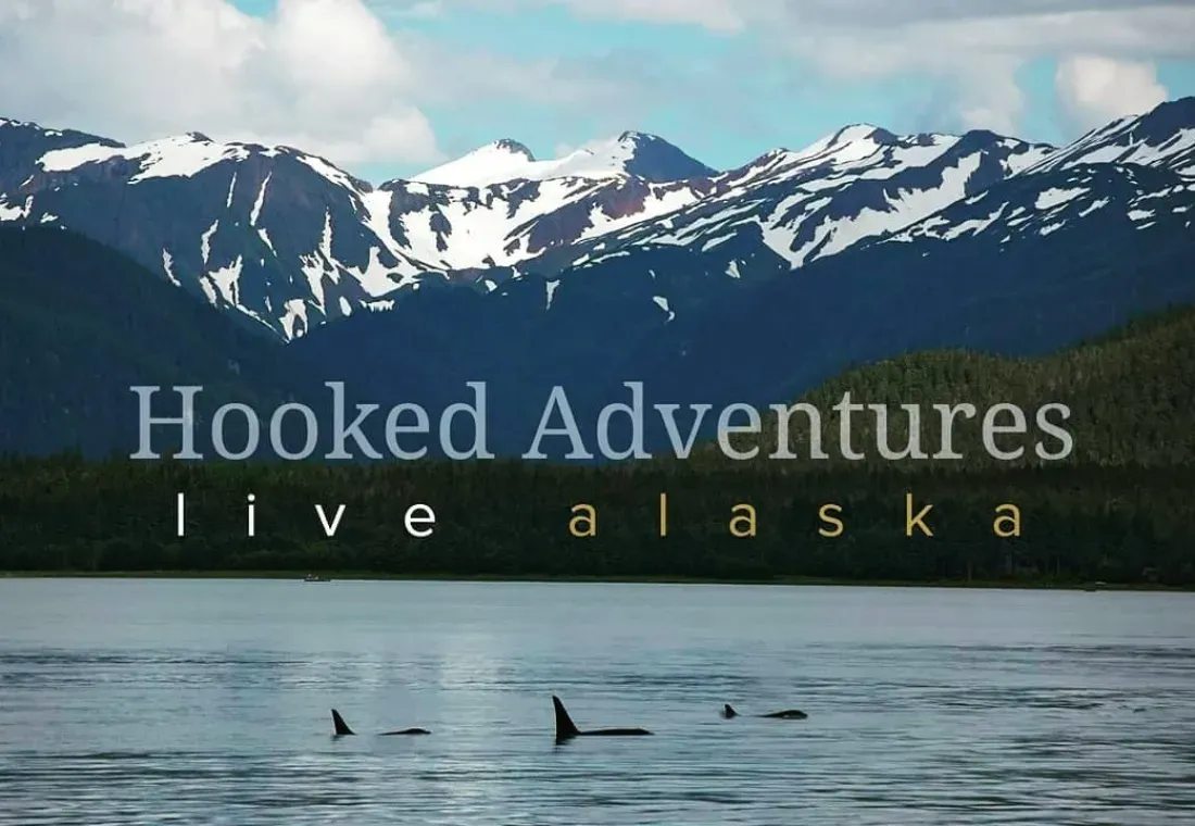 Hooked Adventures
