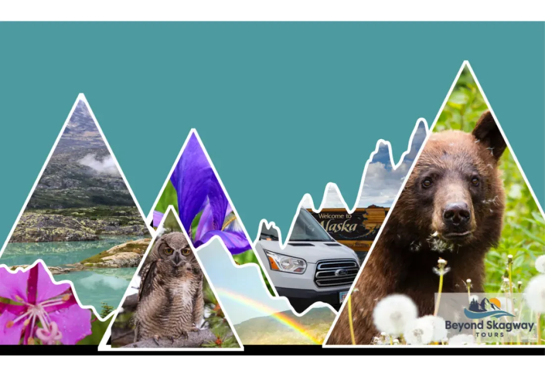 Beyond Skagway Tours