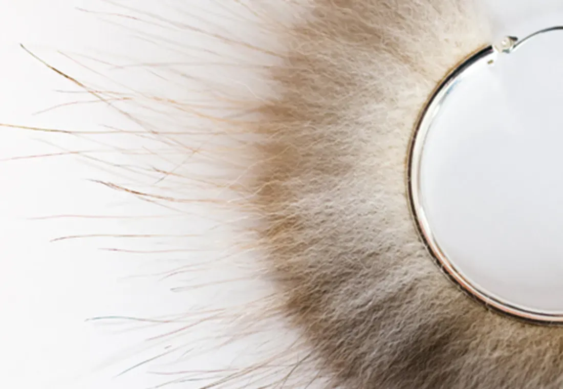 Wild Yukon Furs Inc.