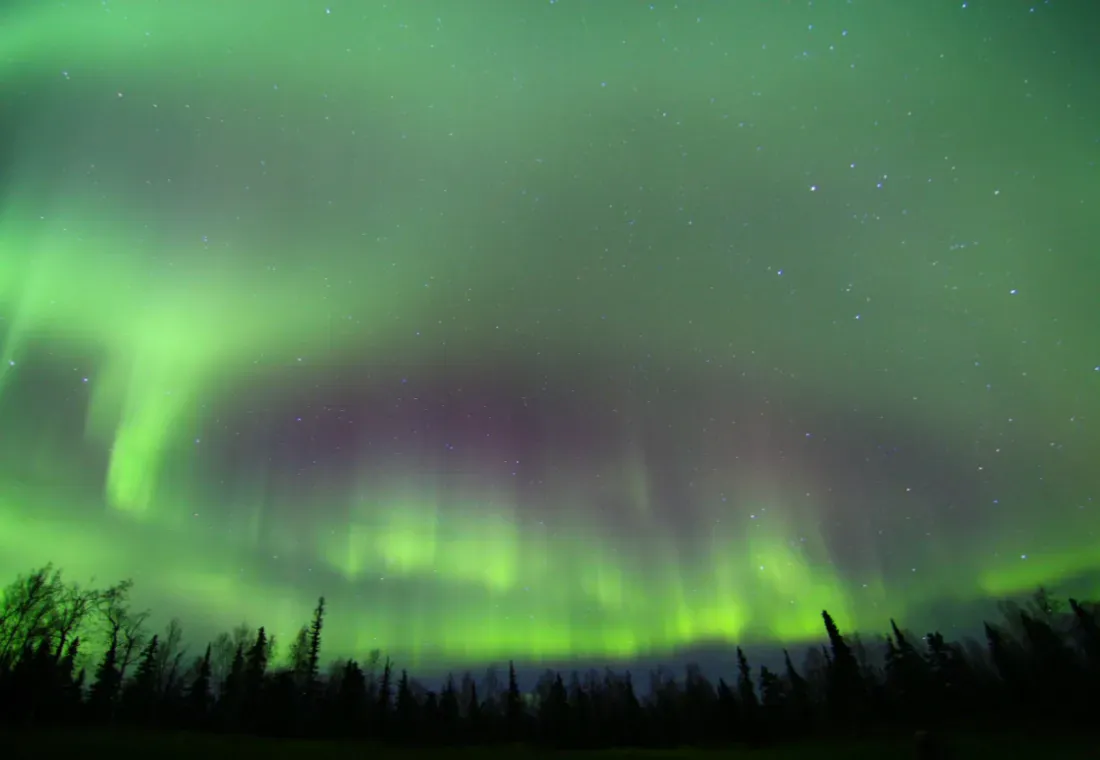 1st Alaska Tours