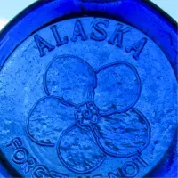 Alaskan Suncatchers