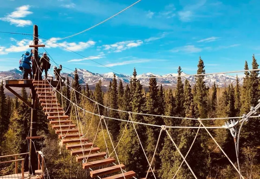 Denali Park Zipline
