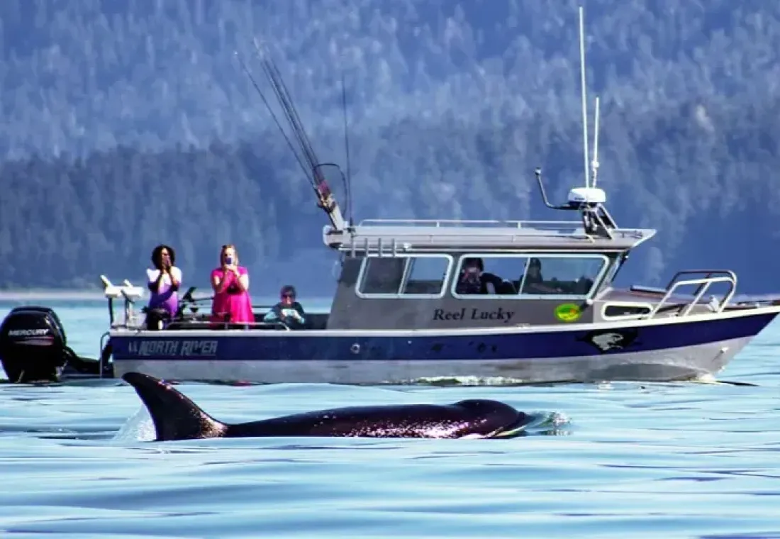 Harv & Marv Outback Alaska Whale Watching
