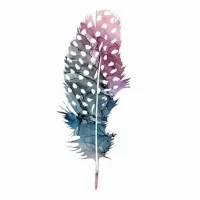 Lost Wilderness logo
