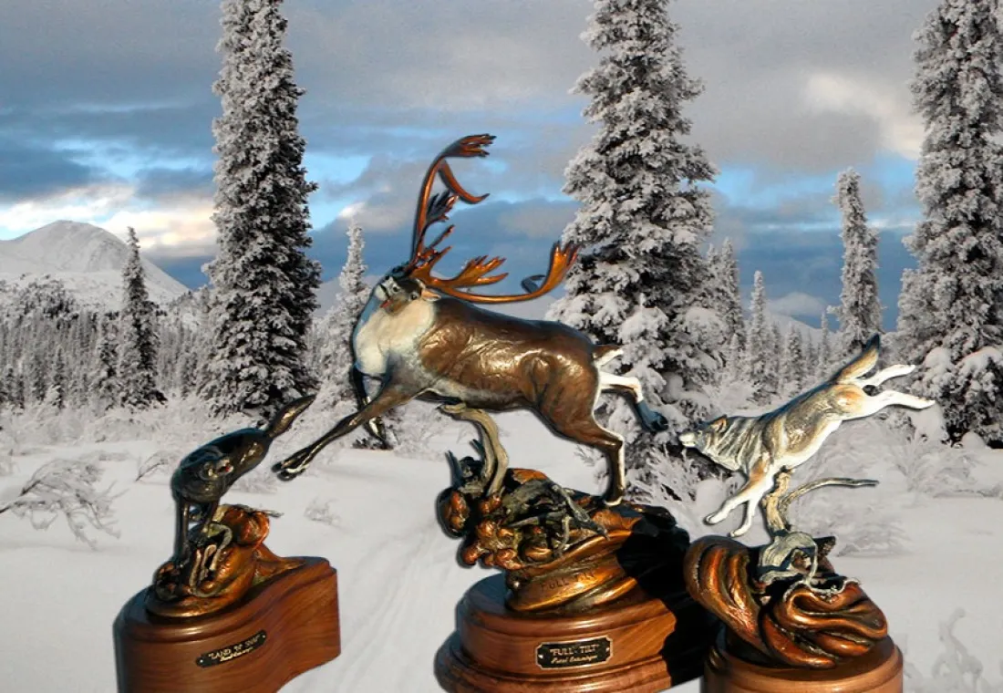 Wilderness Creations