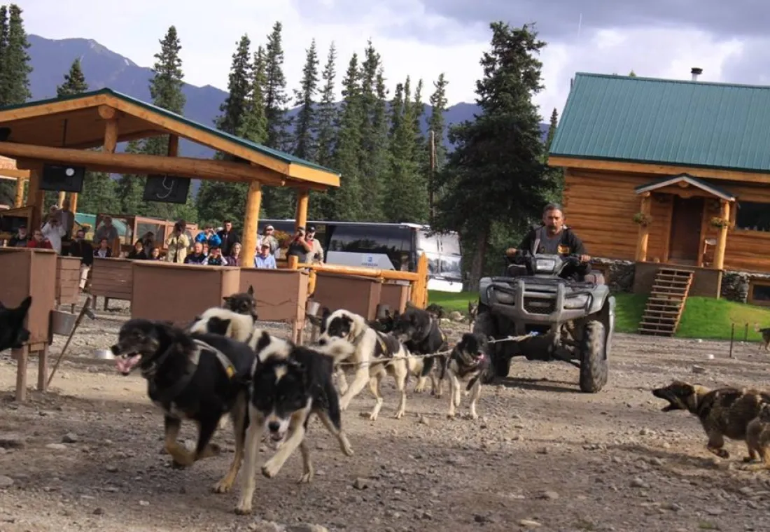 DogGoneIt Tours