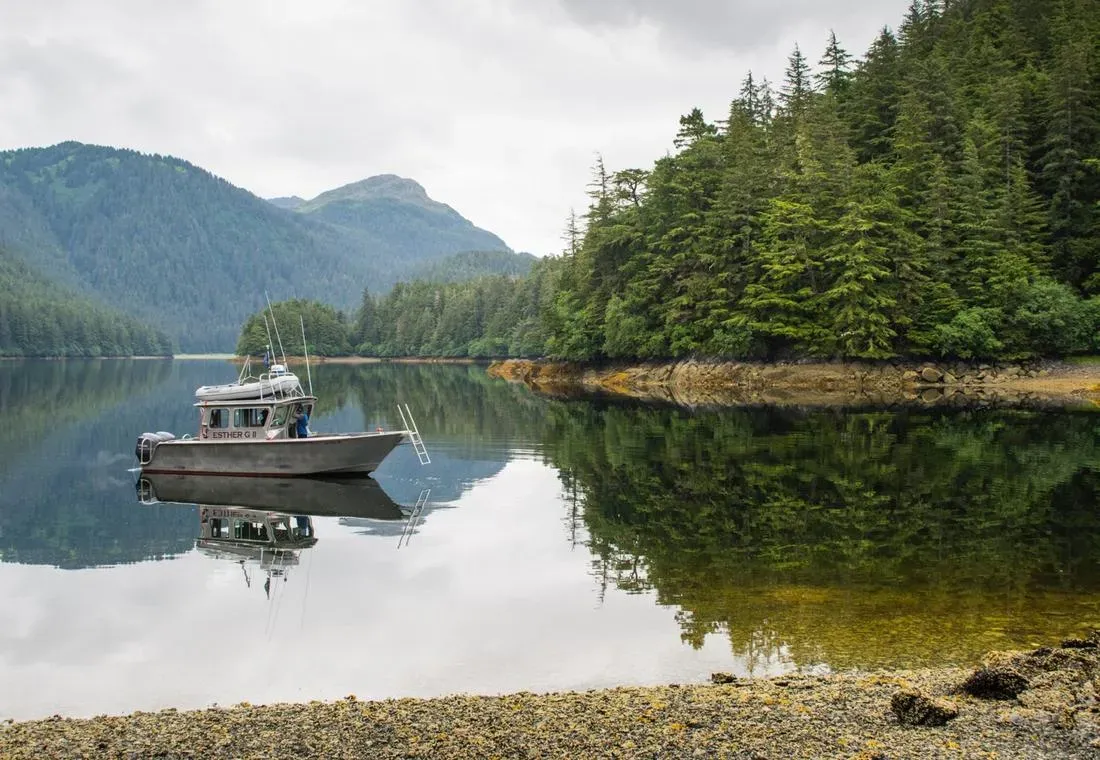 Sitka Wildlife Adventures
