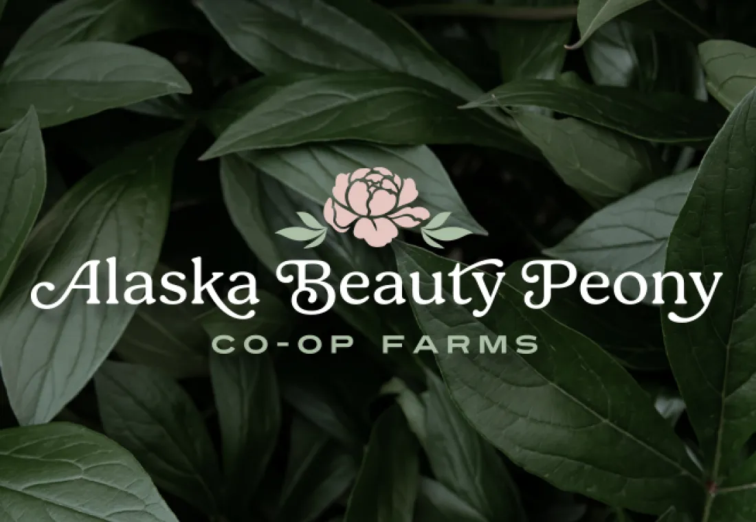 Alaska Beauty Peony Cooperative