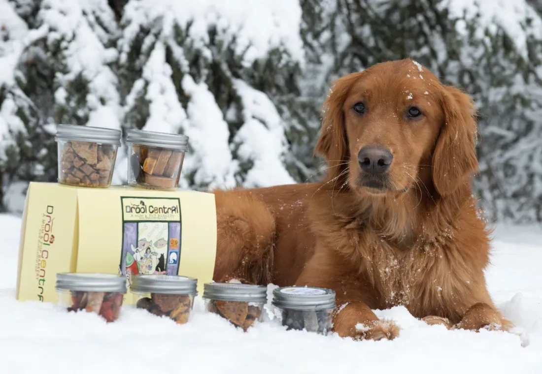 Drool Central: A Mum & Pup Barkery