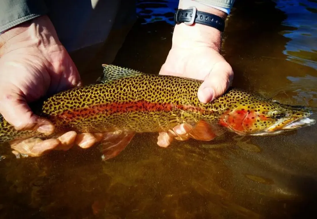 FishHound Expeditions LLC