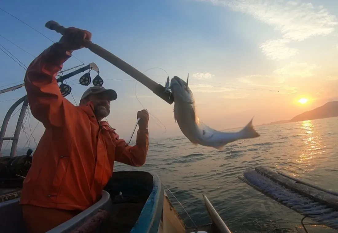 Cold Country Salmon