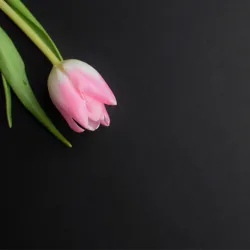 Mother's Day Gifts