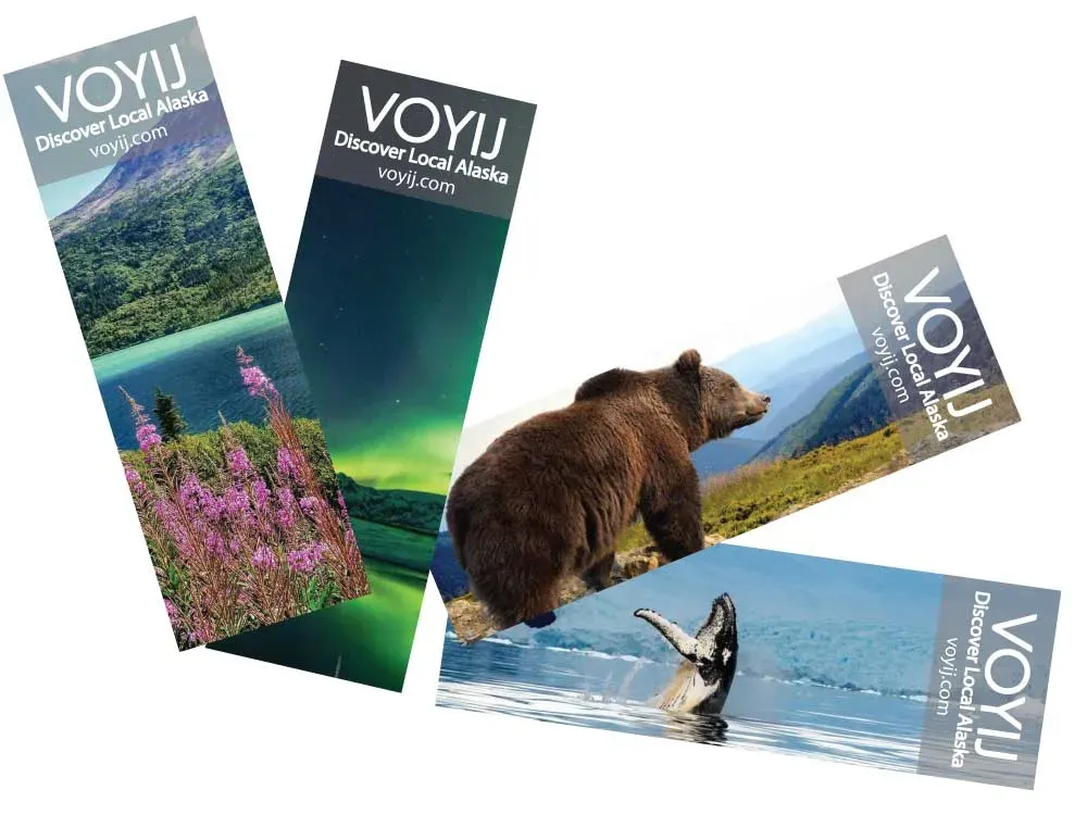 Alaska Travel Journal Notebook With Bear Design By Voyij - 4