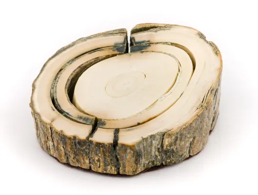 Ivory Jacks Fossilized Woolly Mammoth Tusk Paper Weight