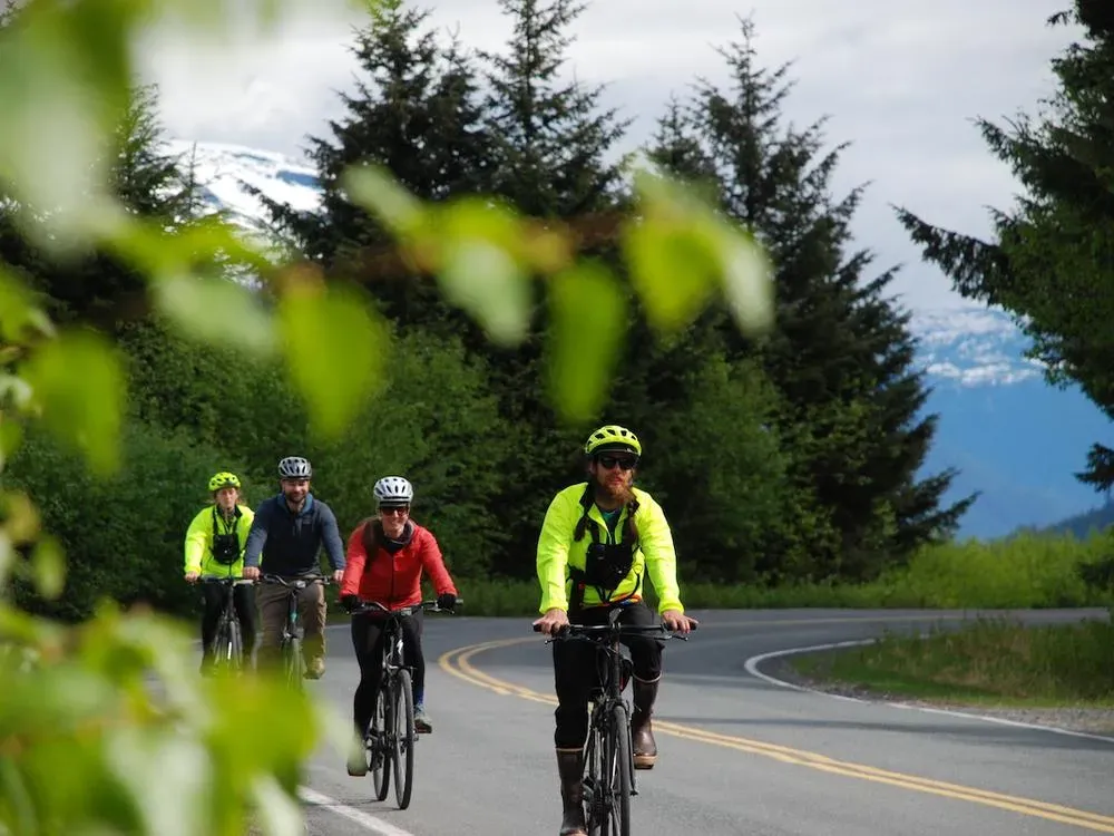 Glacial Fjord Bicycle Tour - 1