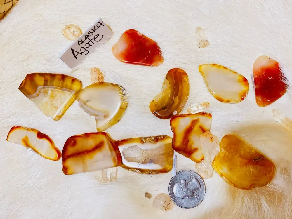 Alaskan Agate - 2
