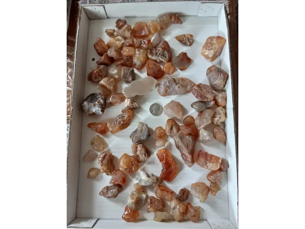 Alaskan Agate - 1