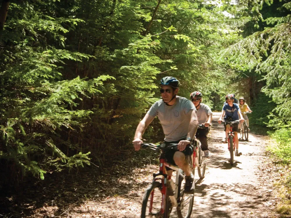 Rainforest Bicycle Tour - 2