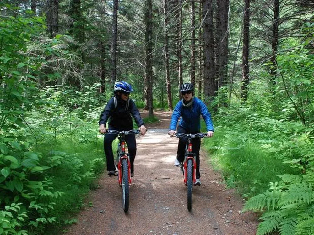 Skagway Bicycle Rental - 2