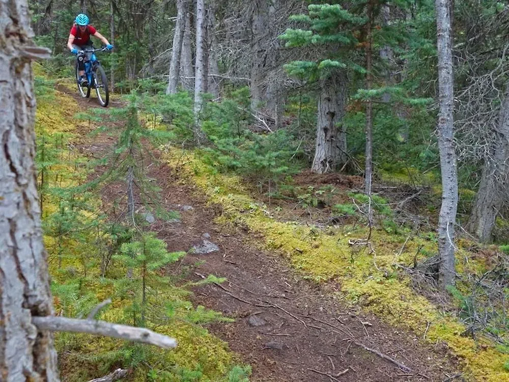Skagway Bicycle Rental - 3