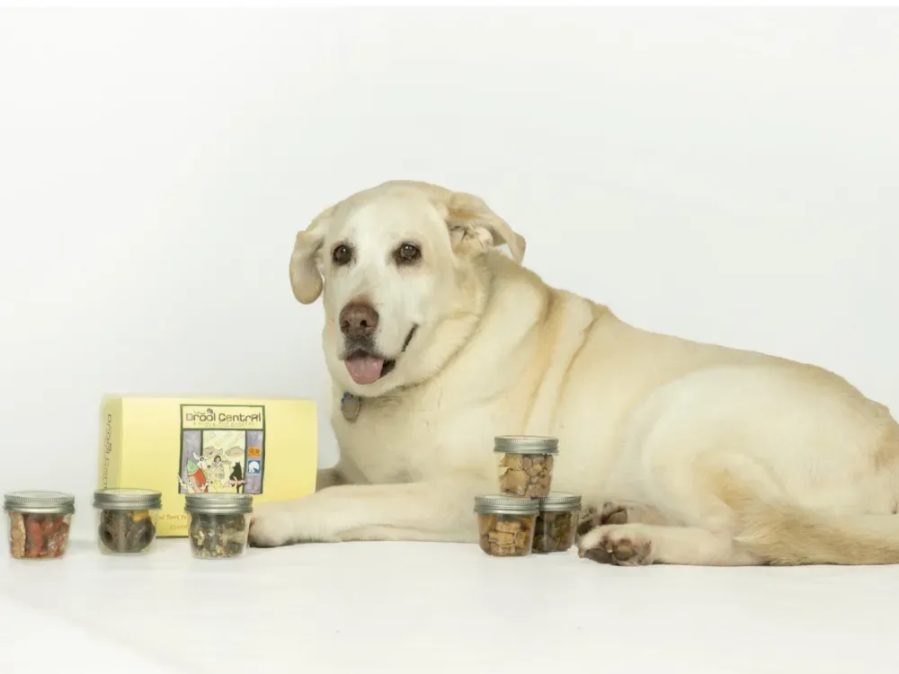 Good Paws Friend Pack: Introductory Sampler Pack - 2