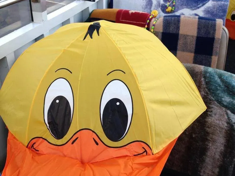Ketchikan Duck Tour - 2