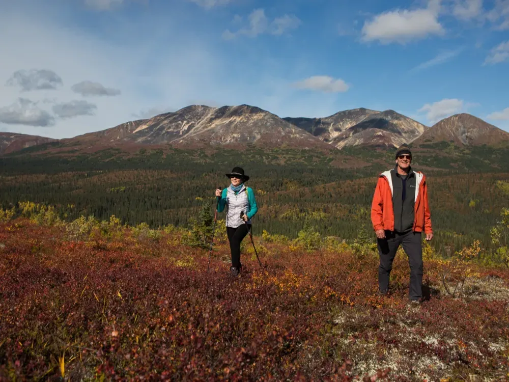 Denali Private Full-Day Adventure - 2