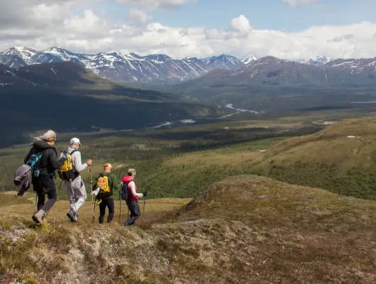 Denali Private Full-Day Adventure
