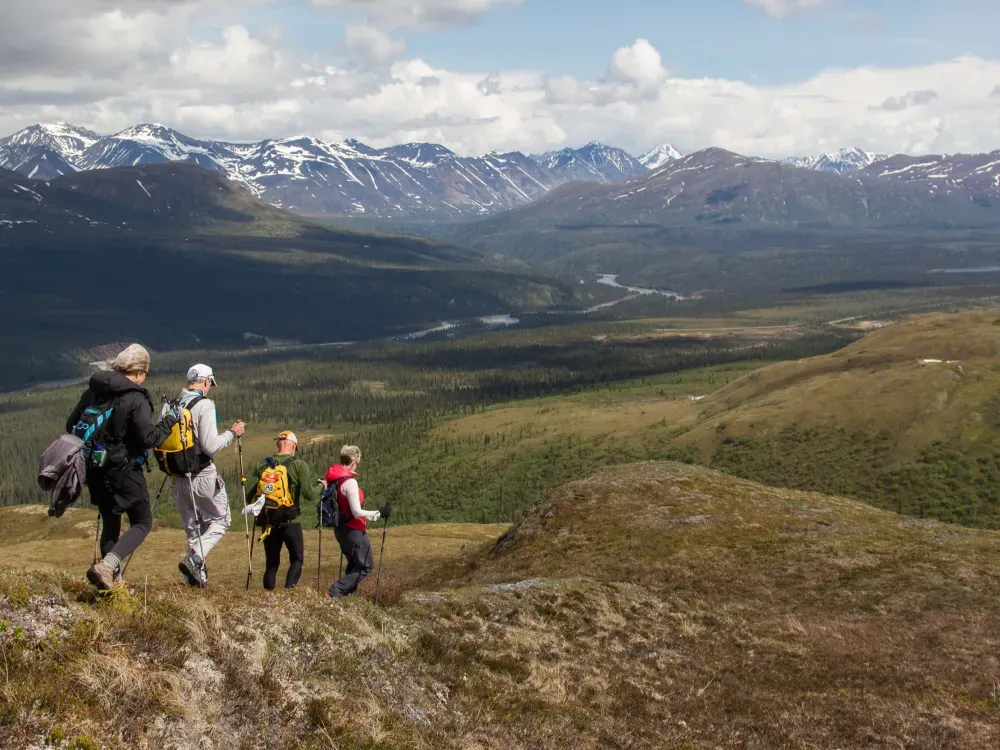 Denali Private Full-Day Adventure - 1