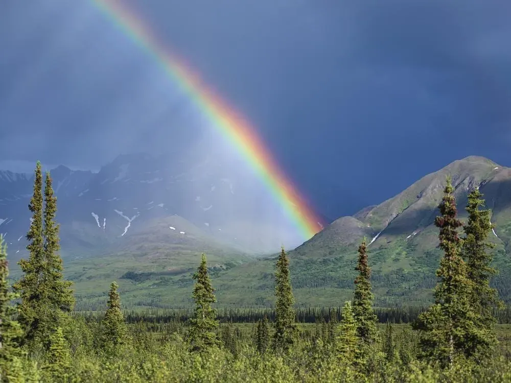 Denali Photo Excursion - 3