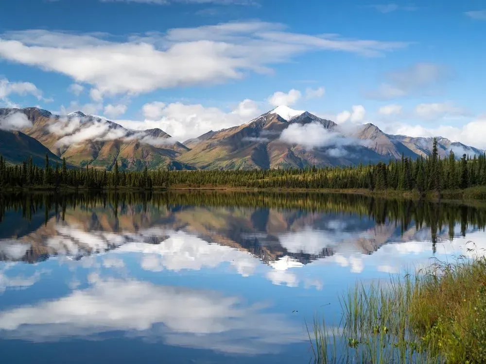 Denali Photo Excursion - 5