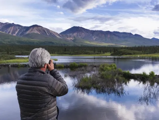Denali Photo Excursion