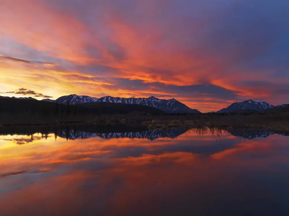 Midnight Sun Photo Excursion - 3