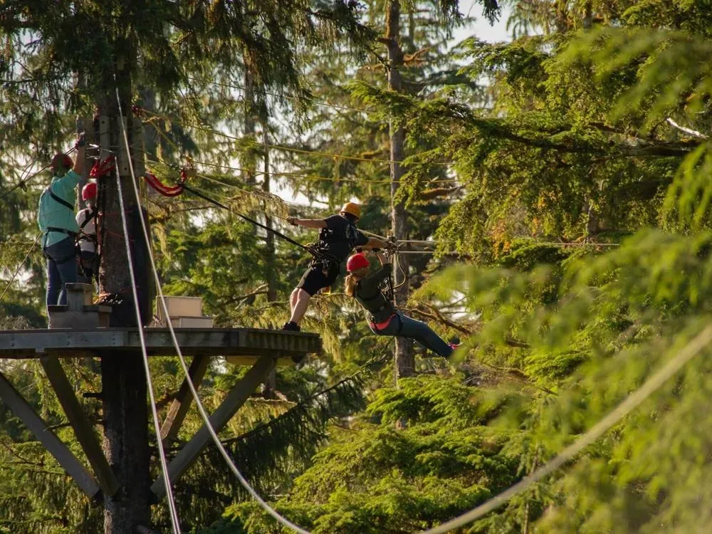 Rainforest Zip, Skybridge & Rappel Adventure - 4