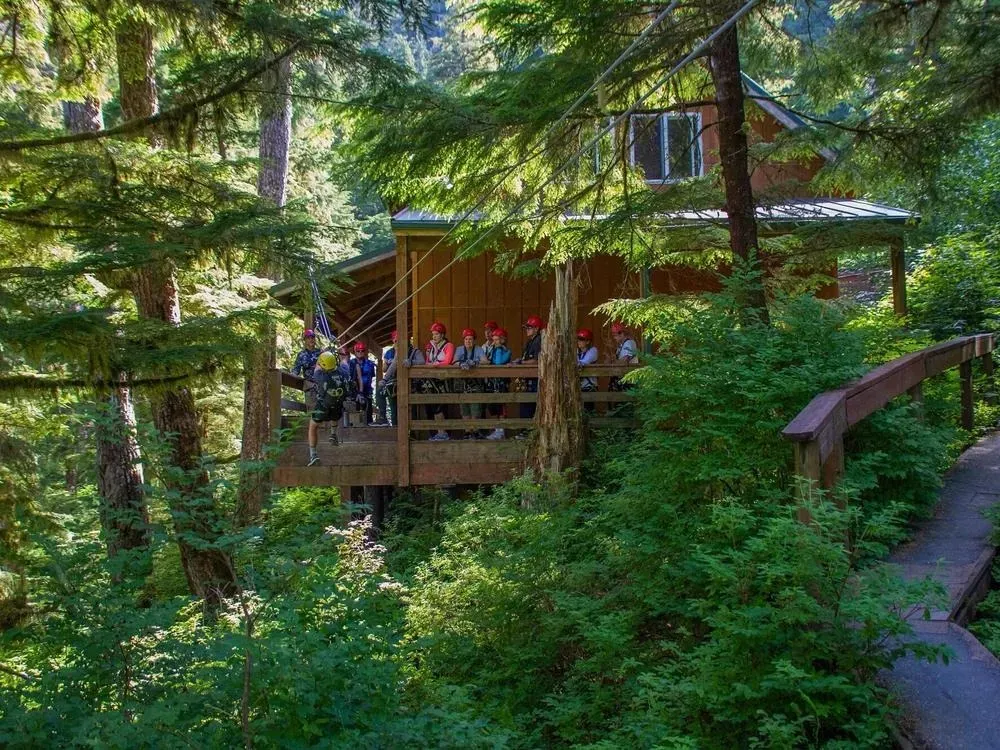 Rainforest Zip, Skybridge & Rappel Adventure - 3