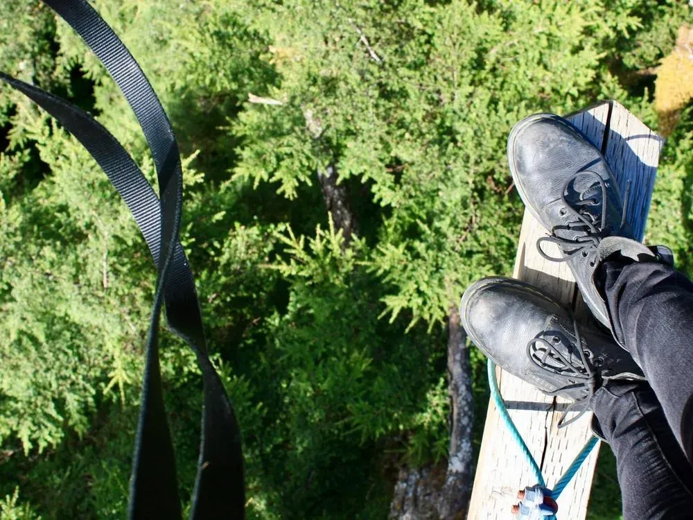 Rainforest Zip, Skybridge & Rappel Adventure - 2