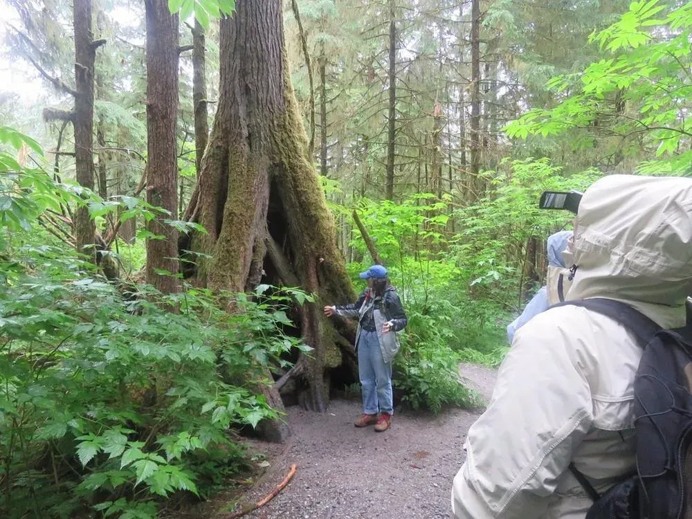 Rainforest Sanctuary, Totem Park & Eagles - 3