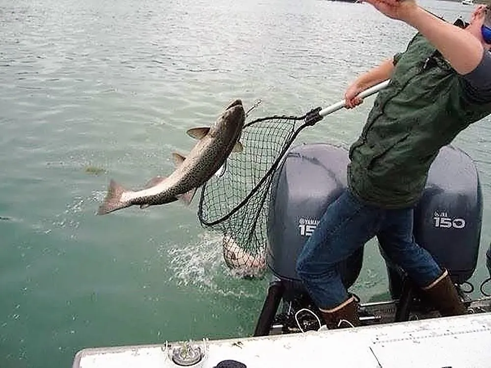 Salmon Fishing - 1