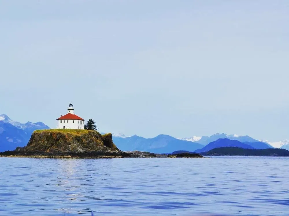 Whale Watching Private Charter - 3